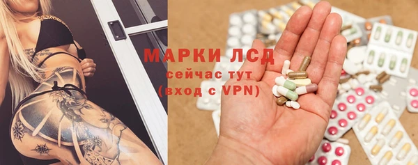 хмурый Алзамай