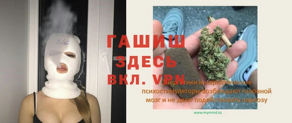 хмурый Алзамай