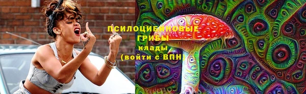 хмурый Алзамай