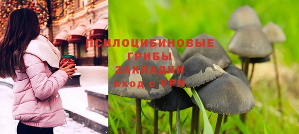 a pvp Алексин