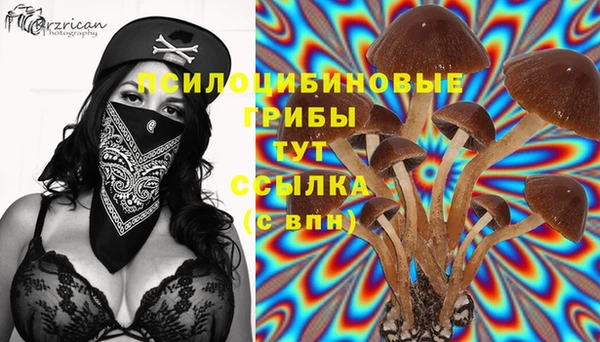 хмурый Алзамай
