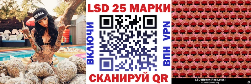 наркотики  площадка официальный сайт  Марки N-bome 1500мкг  Чёрмоз 