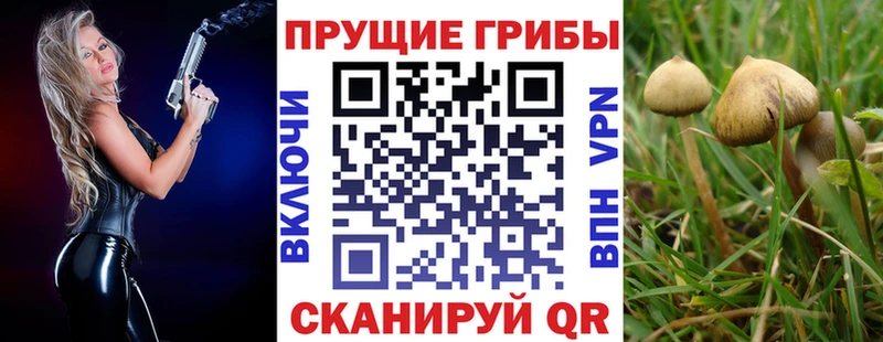 Псилоцибиновые грибы мицелий кракен ONION Чёрмоз закладки